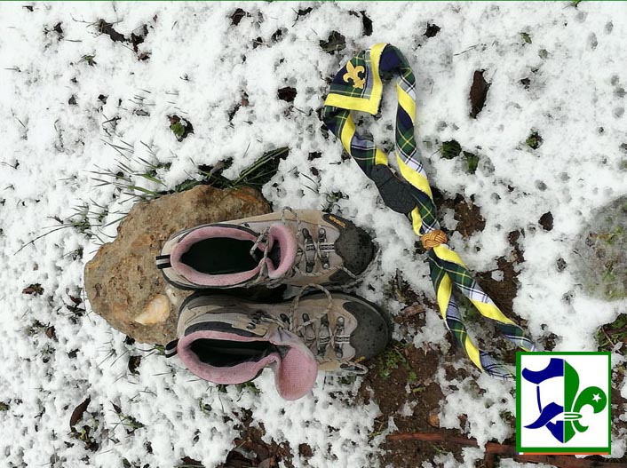 2018 02 Scout Don Quijote