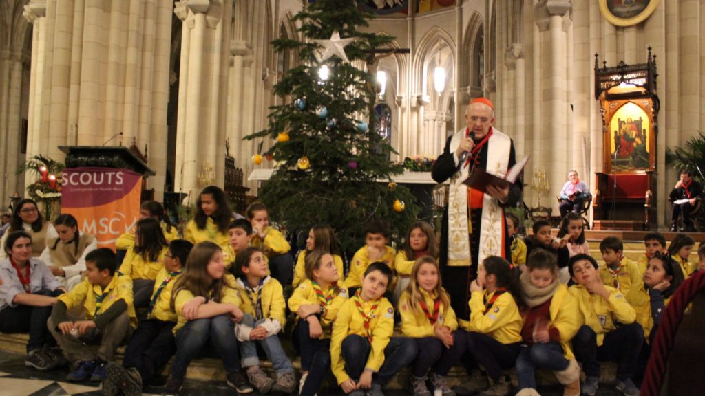 Imagen La Luz De La Paz