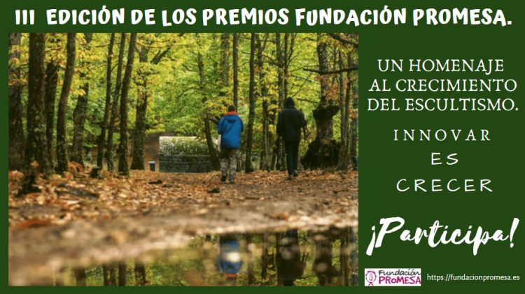 IMAGEN. III Edicion Premios Fundacion Promesa Png 750x421 1