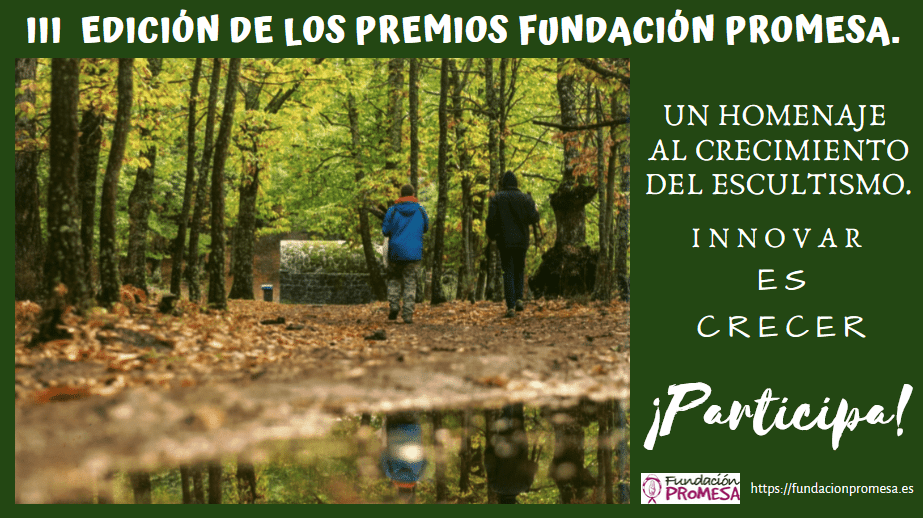 IMAGEN. III Edicion Premios Fundacion Promesa Png