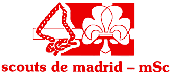 Logo Sdmmsc 80