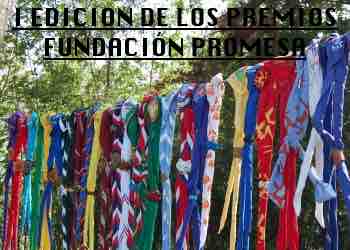 Mundoscout.com Gu As Y Scouts De Chile Celebran 105 A Os De Vida 01 620x400 1